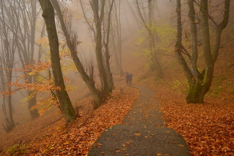 Осень золотая фото превью