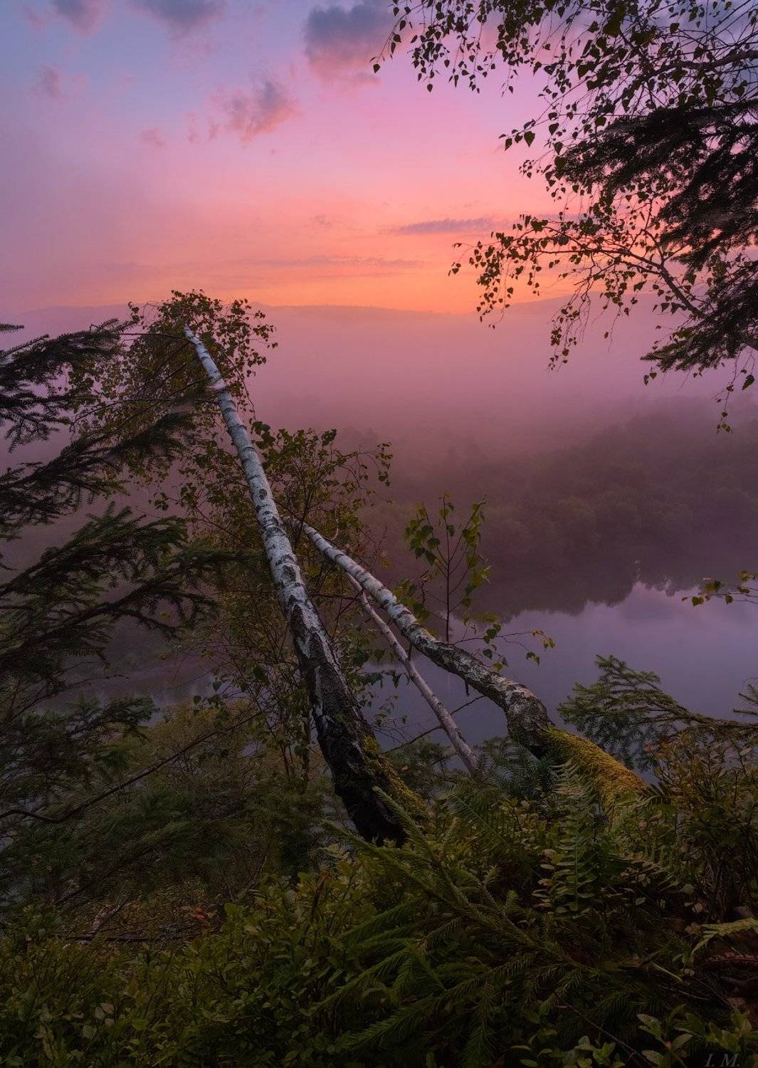 утро, рассвет, утес, река, стрый, пейзаж, туман, свет, краски, деревья, березы, путешествие, украина, прикарпатье, morning, dawn, fog, river, stryi, travel, ukraine, landscape, birch, trees, view from above, misty, colors, light, foggy, Ivan Maljarenko 