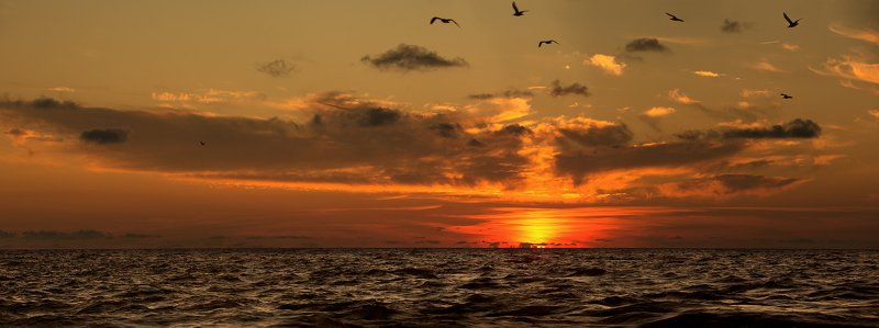 сочи, закат, море, облака, чайки Осенние закаты в Сочи фото превью