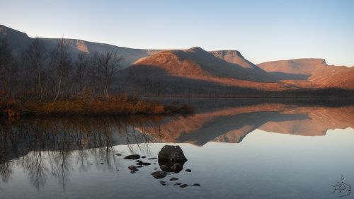 Малый вудъявр