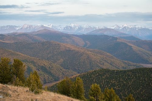 Алтай в пастельных тонах... карандашные наброски...