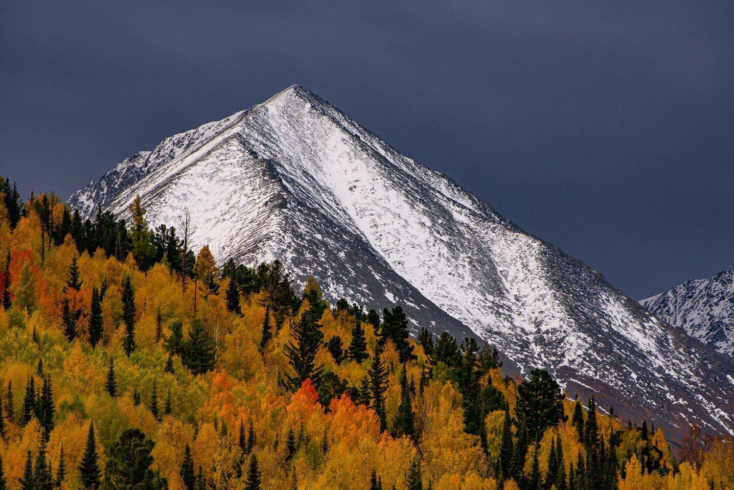 алтай. осень. горы., Евгений Дроботенко