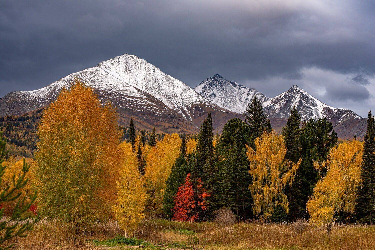 алтай. осень. горы., Евгений Дроботенко