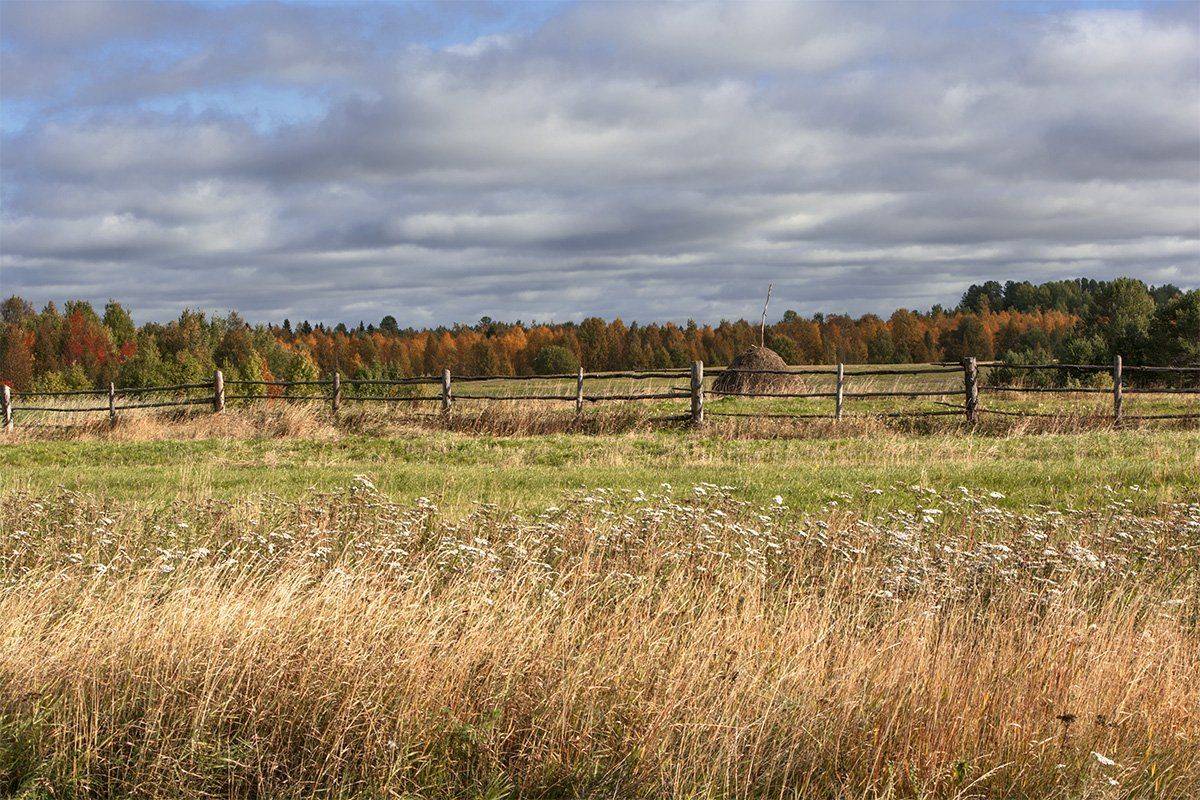 , Марина Никулина