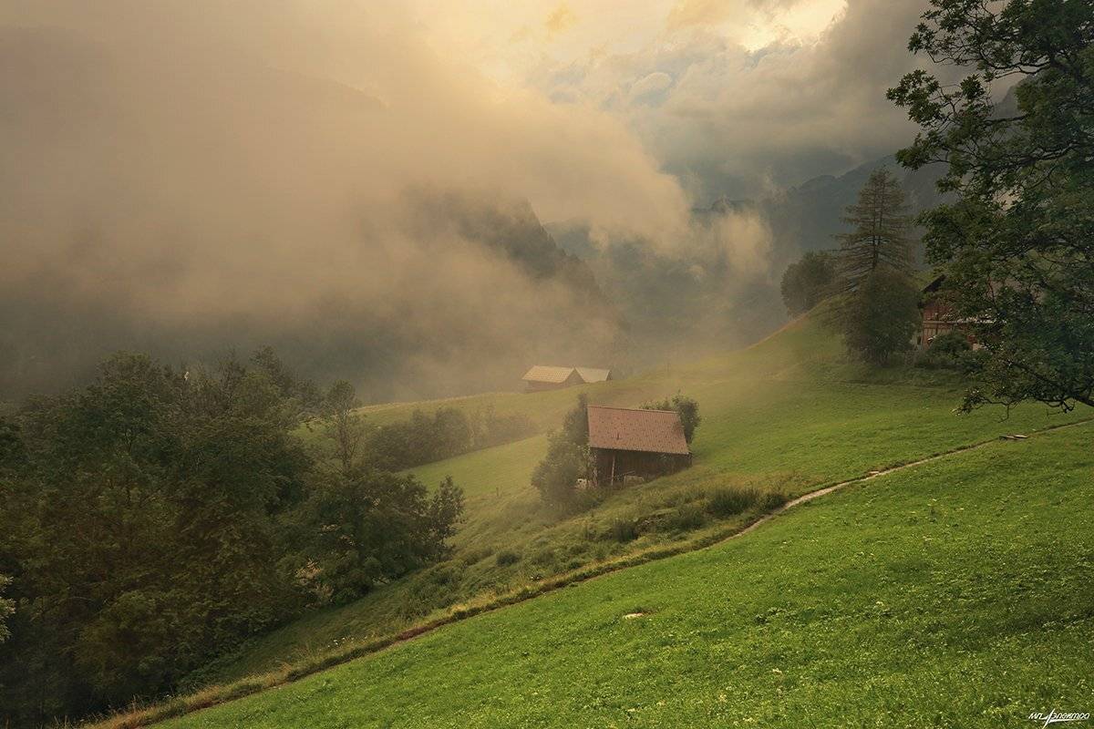 swiss, Матвеев Николай