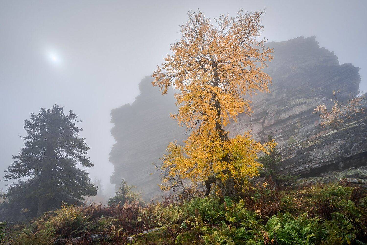 , Сергей Межин