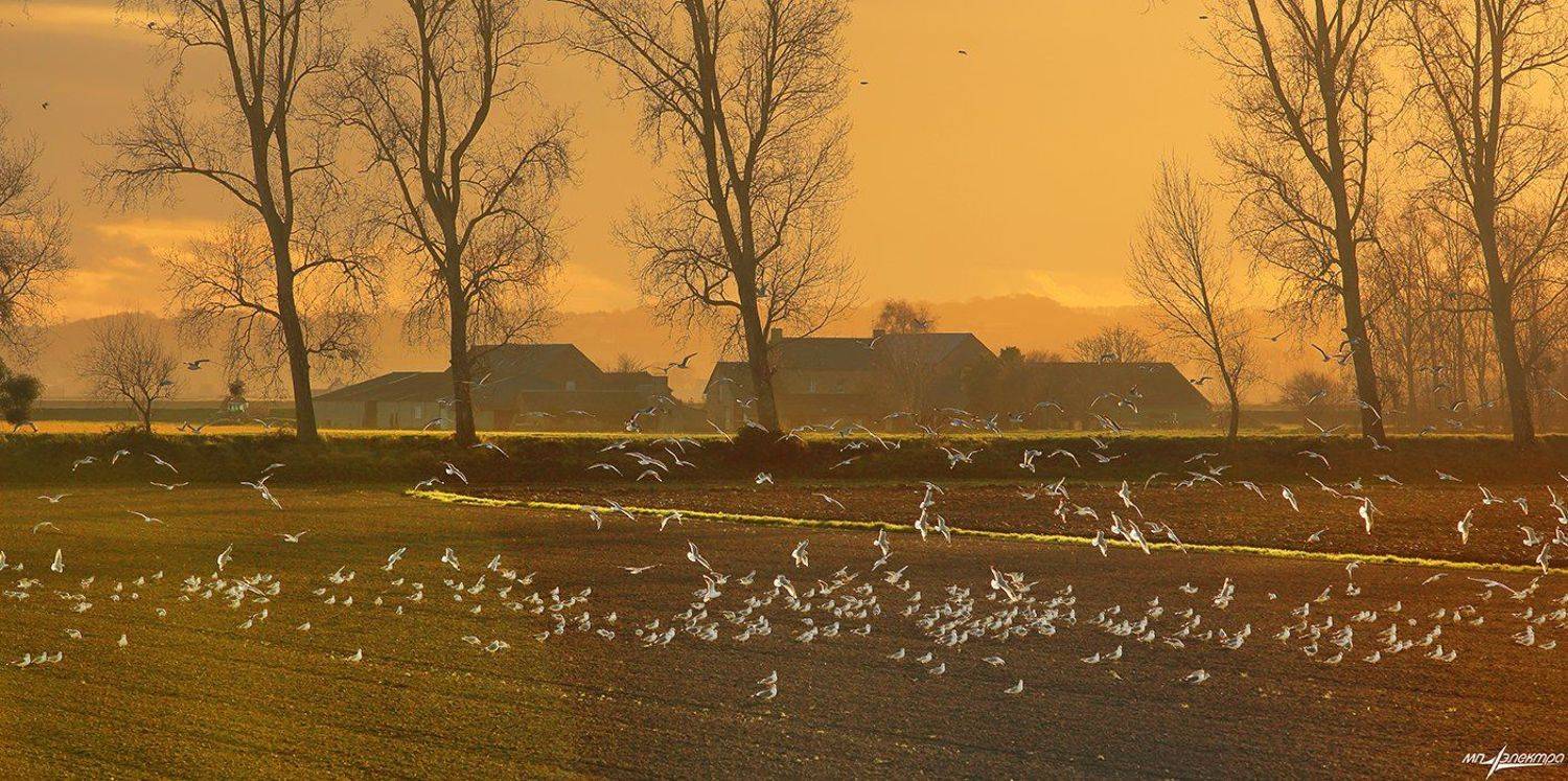 франция,mont saint-michel,france, Матвеев Николай