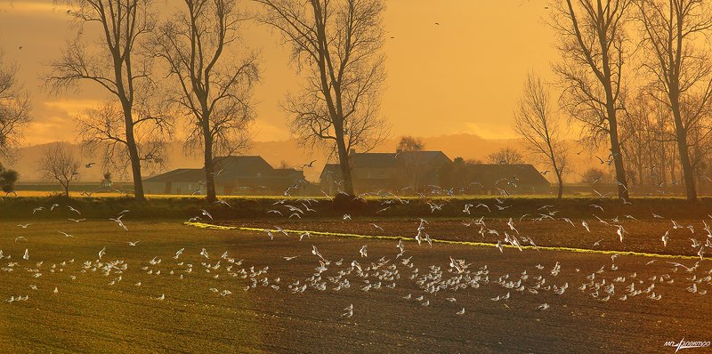 франция,mont saint-michel,france Вечер........ фото превью