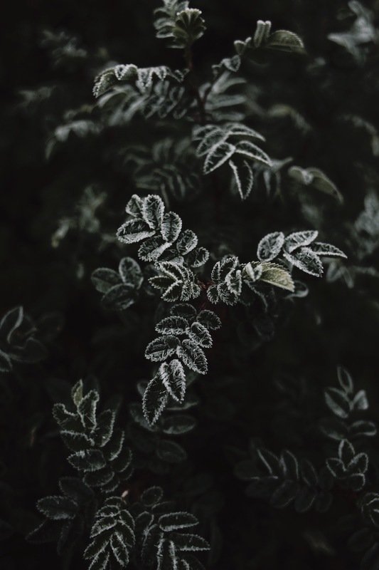 фотографалинция Wrong Side of Heaven фото превью