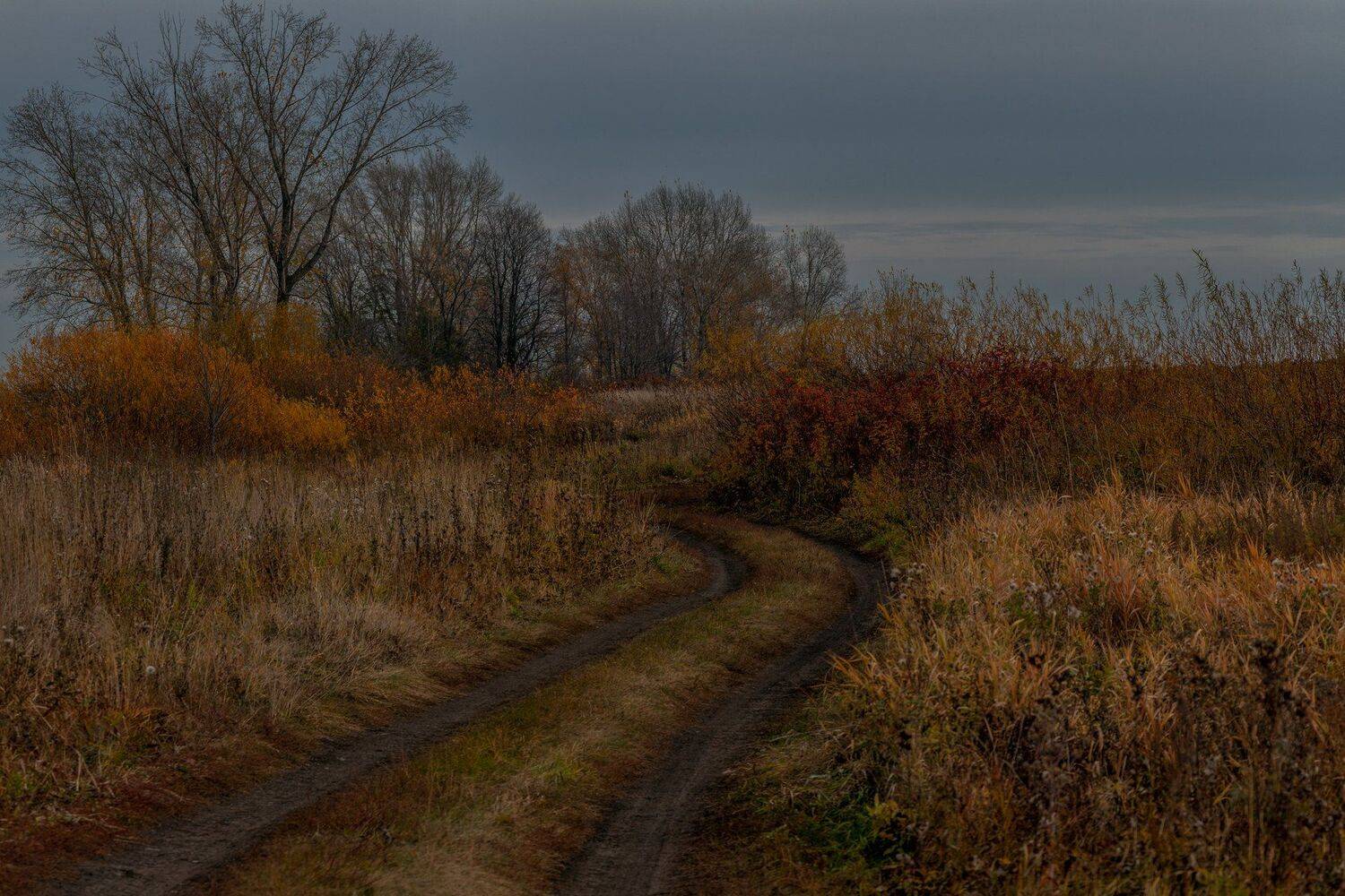 , Марат Кучкаев