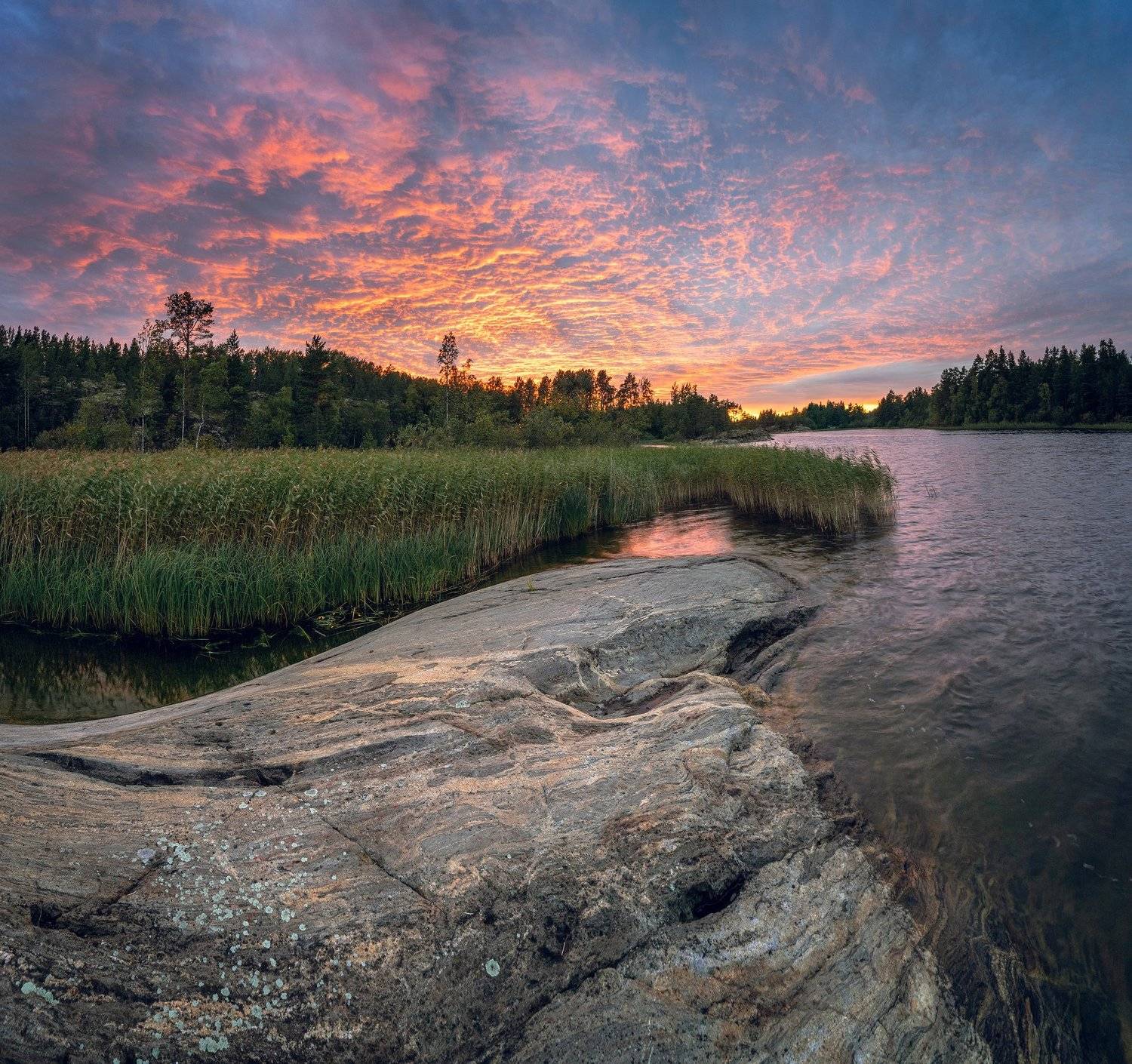 , Александр Решня