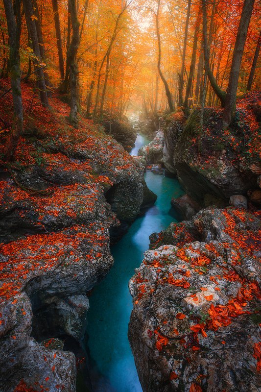 korite, mostnice, sloveia, landscape, autumn, orange, red, tree, forest, creek, river  korita mostnice  фото превью