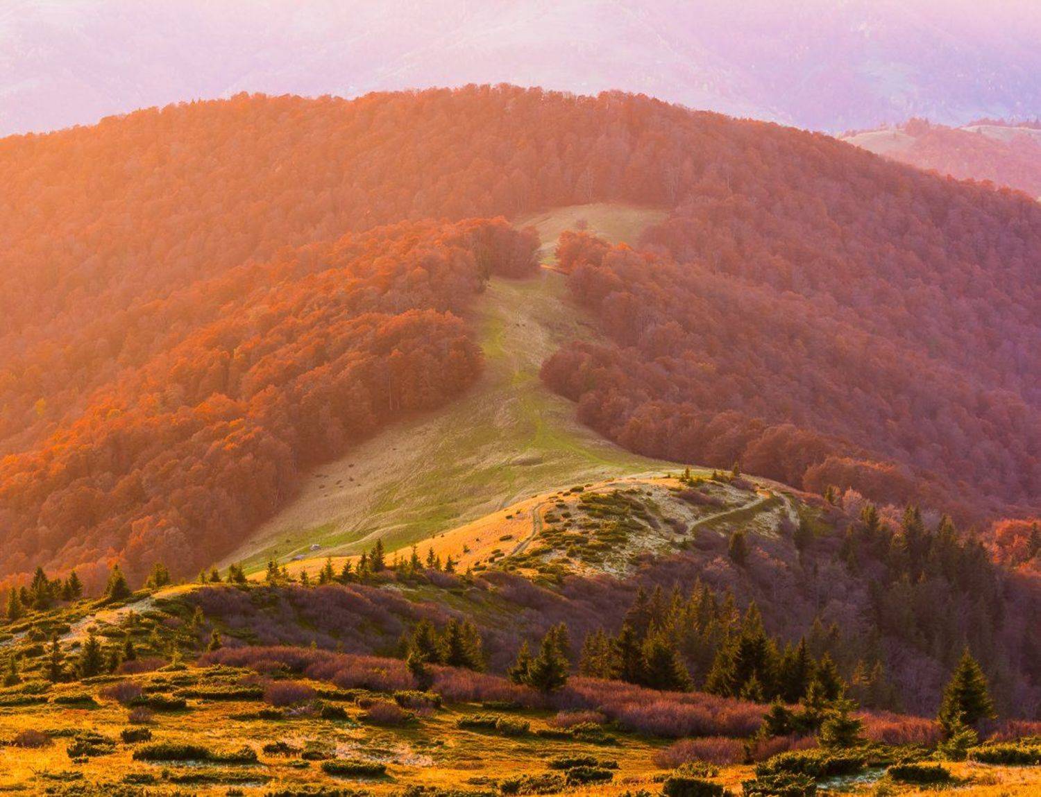 , Александр Подрез