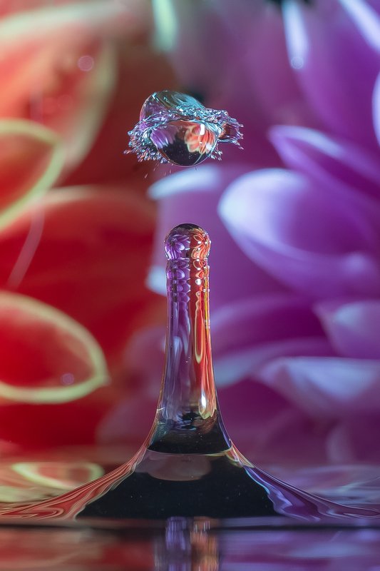 капля ,макро,  фото превью