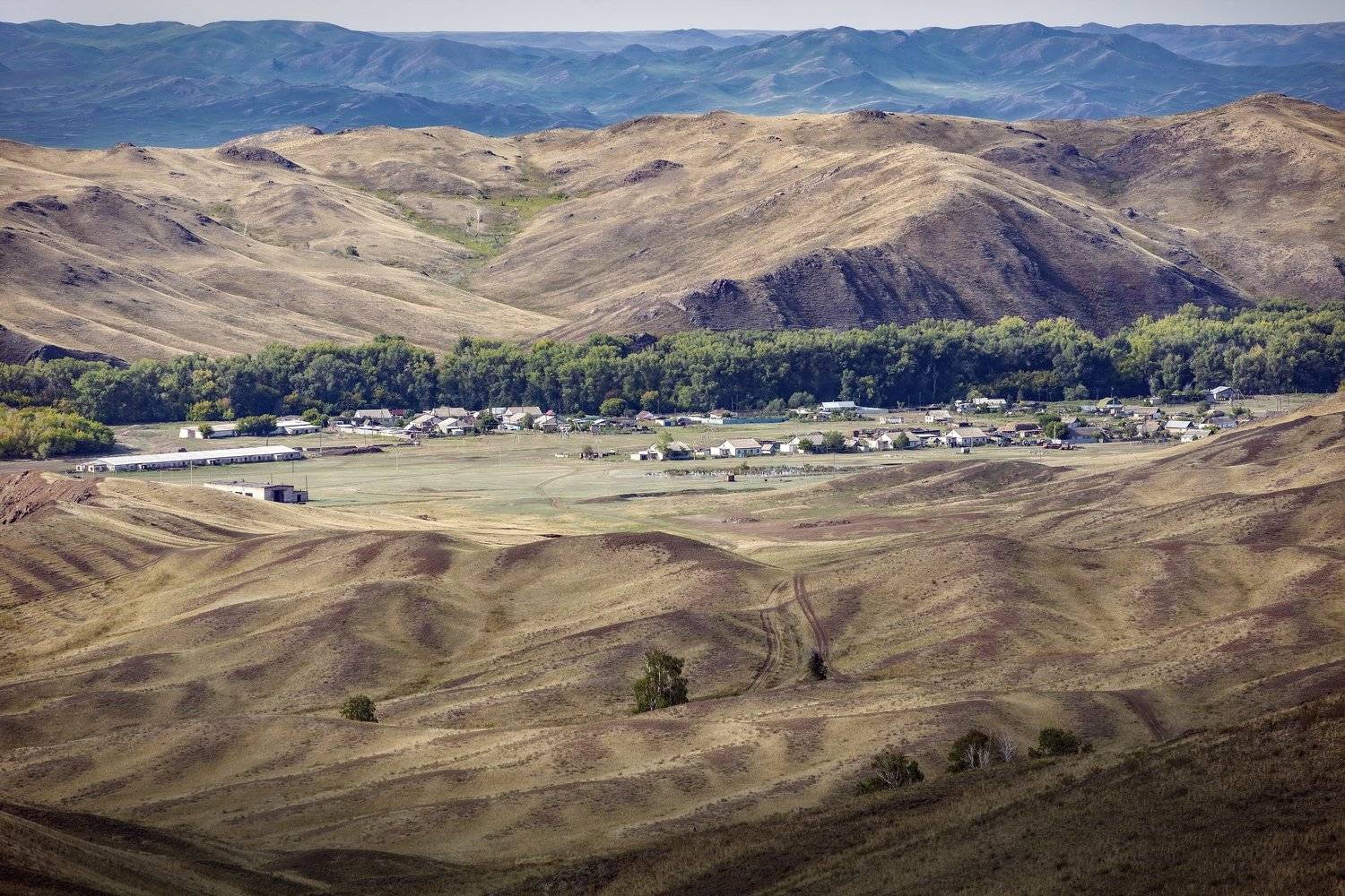 , петр чиков