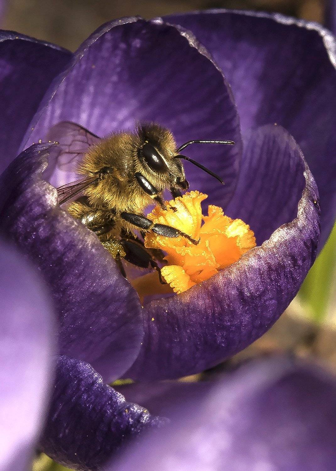 , Сергей Федоренко
