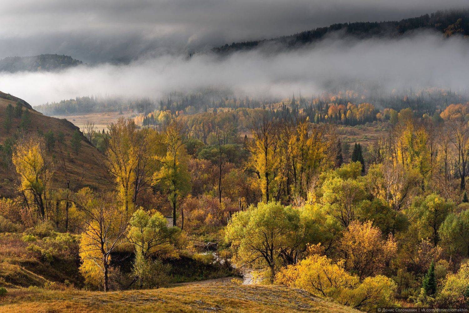 горнаяколывань, осеньнаалтае, алтай2020, Денис Соломахин
