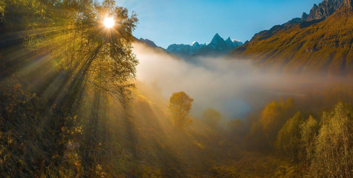 горы, гора, домбай, рассвет, солнце, осень, гоначхирском ущелье, туманлы-кель, озеро, тебердинский государственный природный биосферный заповедник, кавказ, хребет, вершина,  берёза, осенний, туман, туманный, лучи, дерево, чотча,, Лашков Фёдор