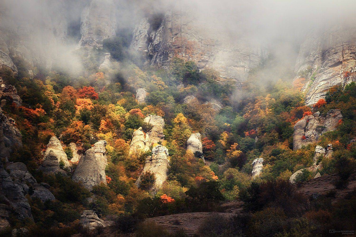 , Антон Кошетаров