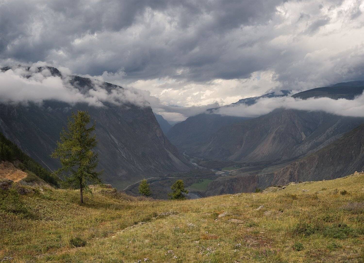 , Лещёнок Александр