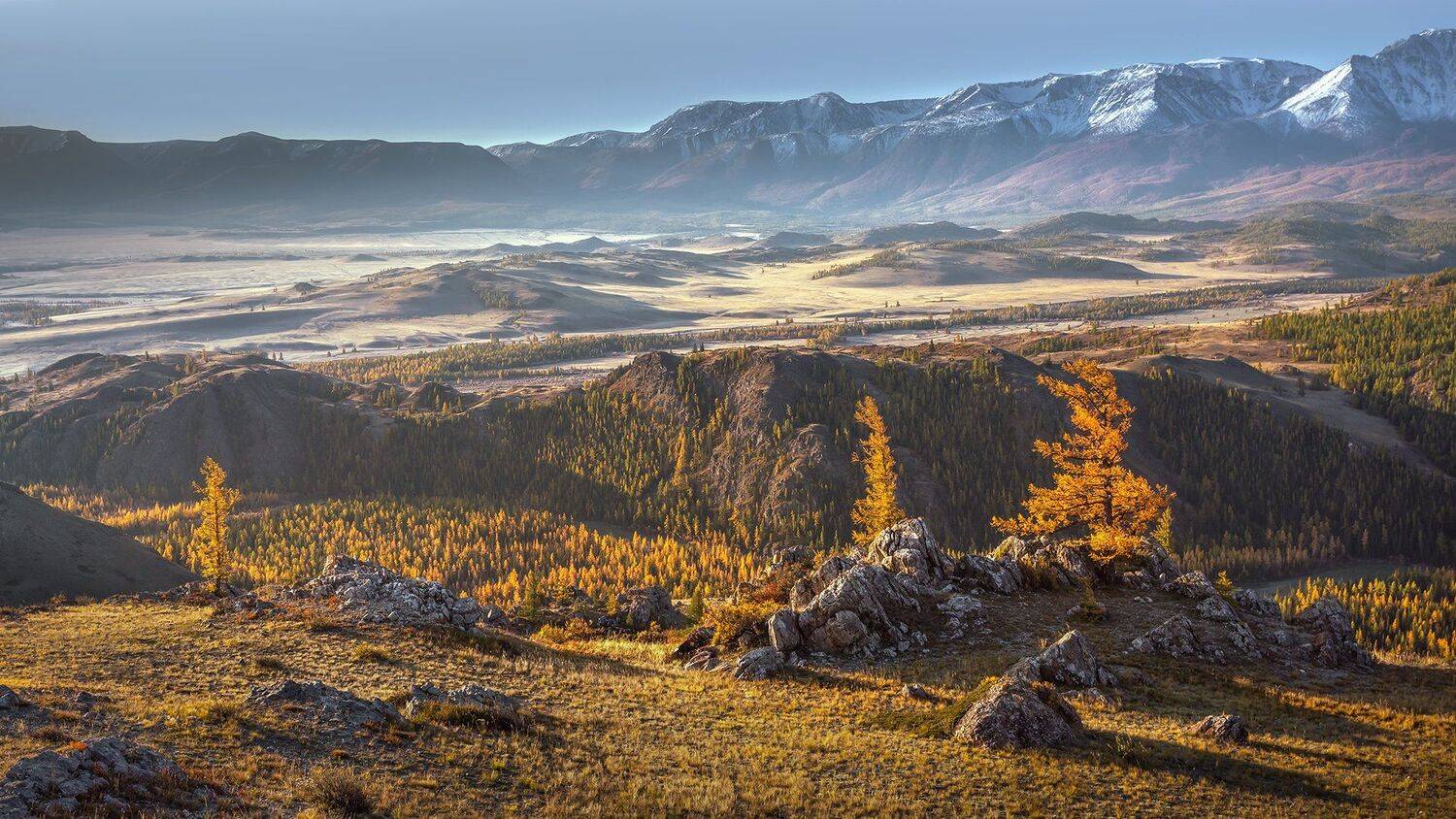 , Елена Маковоз