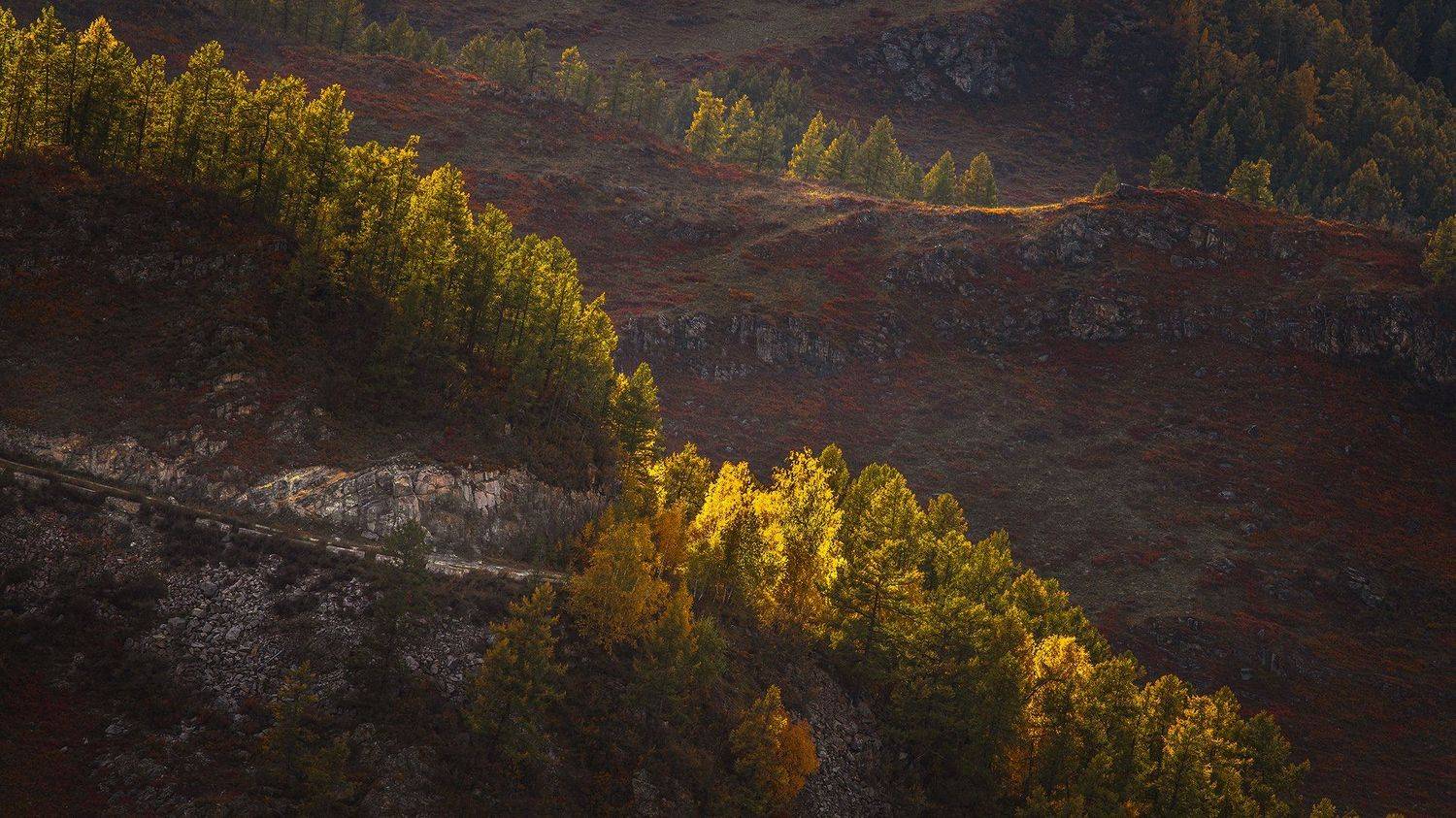 , Елена Маковоз