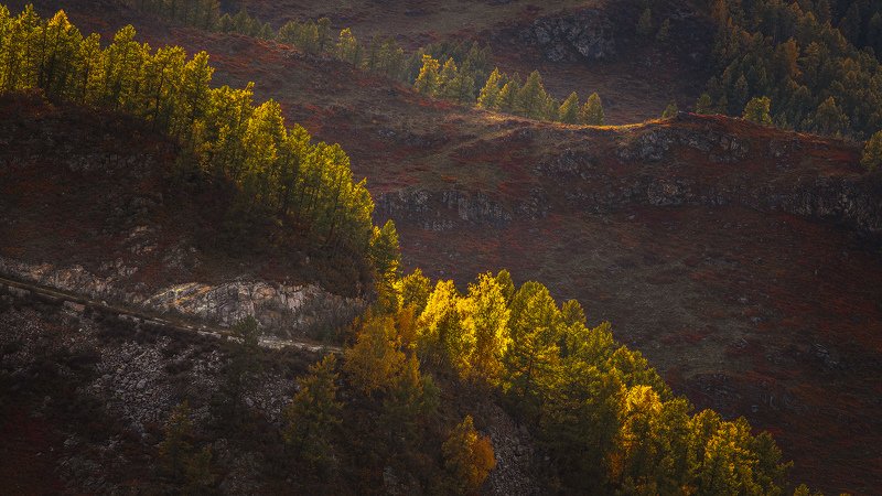 Горный Алтай / световые зарисовки фото превью