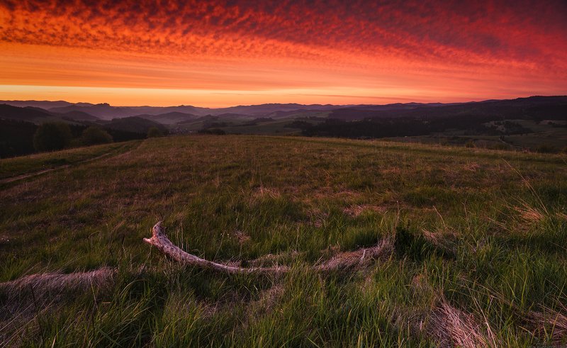 #landscape, #panoramic, #photo, #nikon, #poland, #adventure, #sunrise, #mountains, , #nature, #travel, #slovakia Sky On Fire фото превью