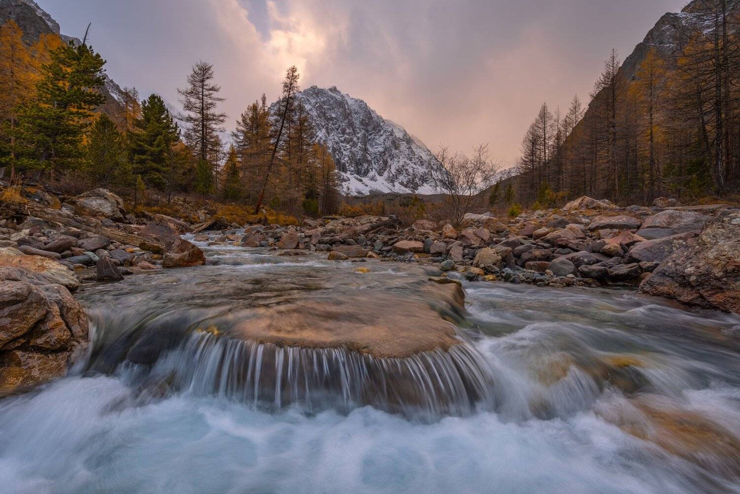алтай. актру, Татьяна Степанова