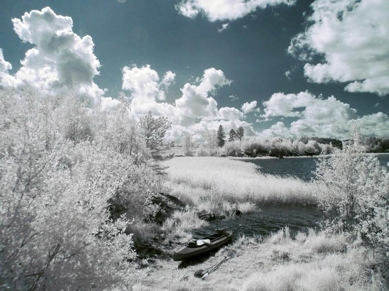 инфракрасная фотография, ir, ладога, jupthj? ,fqlfhrf? камыши, деревья, небо, природа,  красиво Байдарка отдыхает фото превью