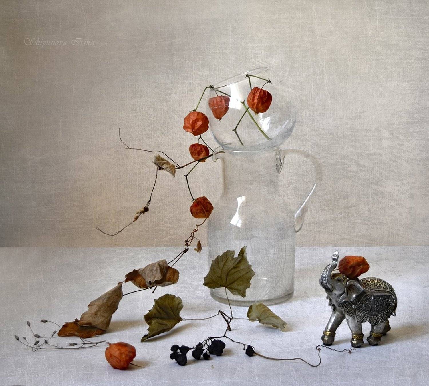 , Шипунова Ирина