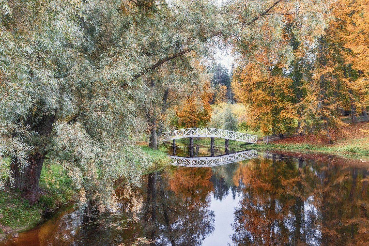 михайловское, пушкинские горы, осень, пушкинские места, Владимир Липецких