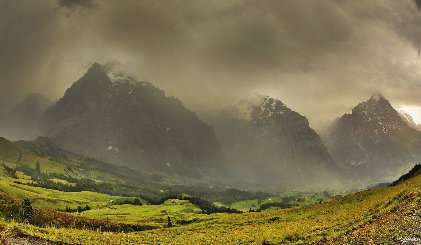 swiss, Матвеев Николай