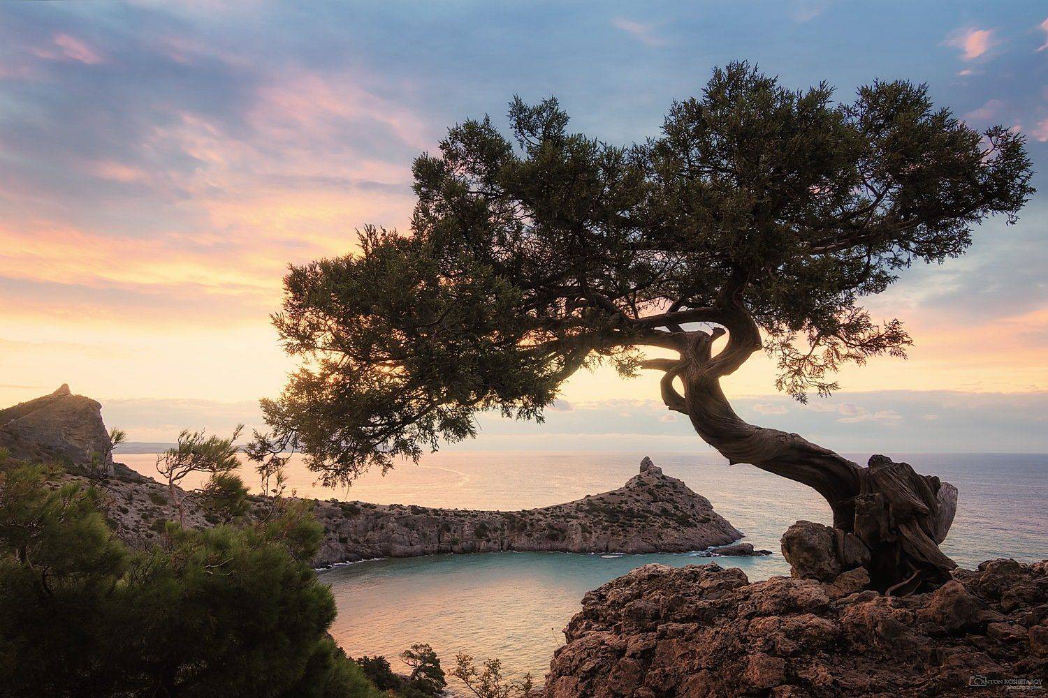 , Антон Кошетаров