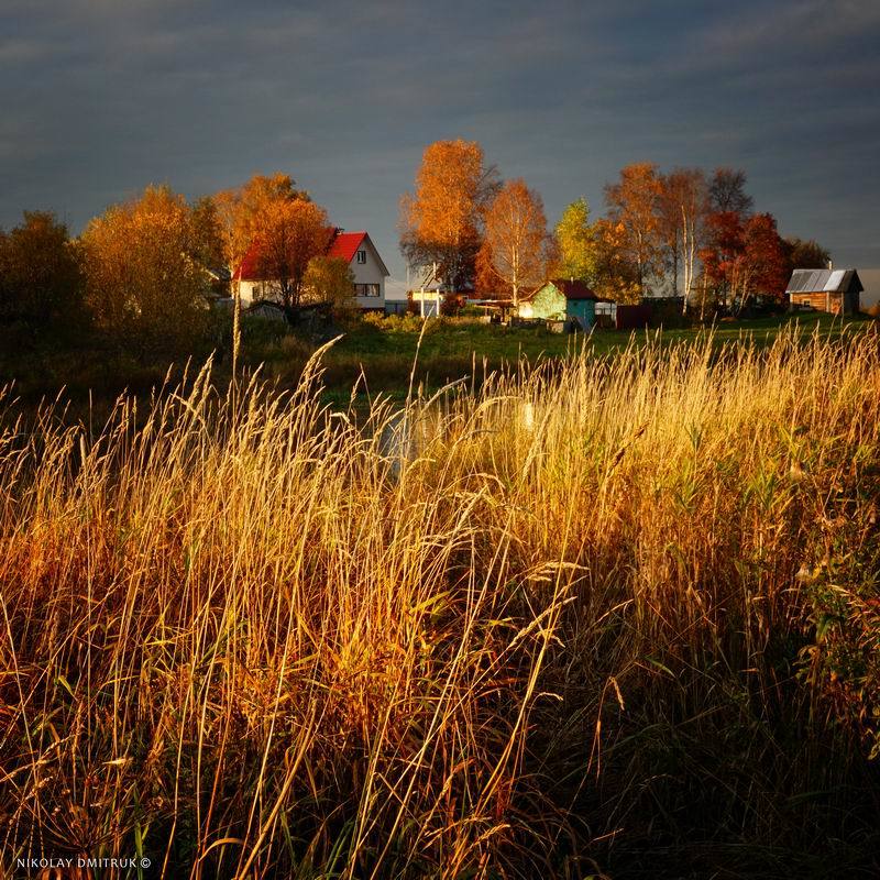 пейзаж северная деревня Ширша - закат. 01.10.2020 #bike фото превью