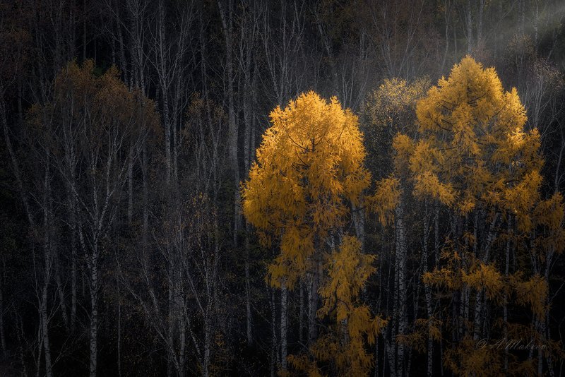 сибирь, хакасия, осень *** фото превью
