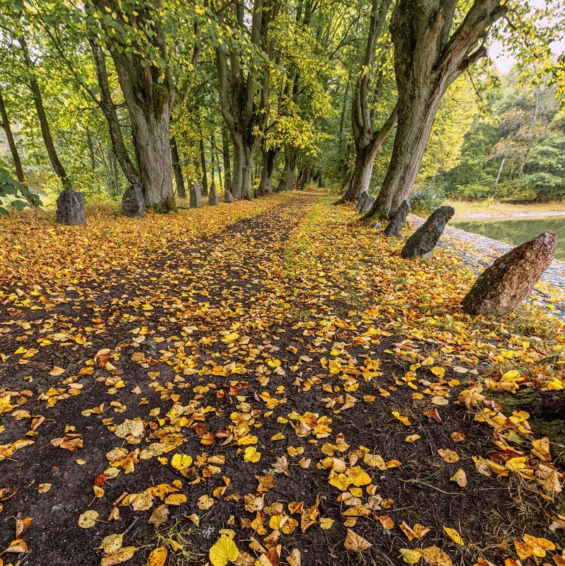 *** фото превью