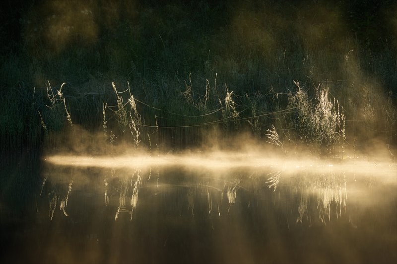 Связи... фото превью