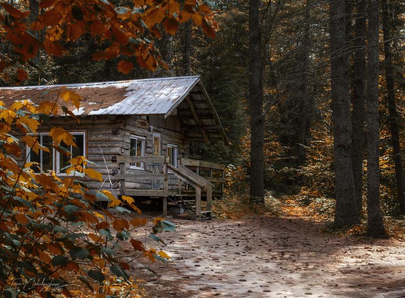 лес хижина природа отдых озеро осень тепло бабье лето Хижина лесная. фото превью