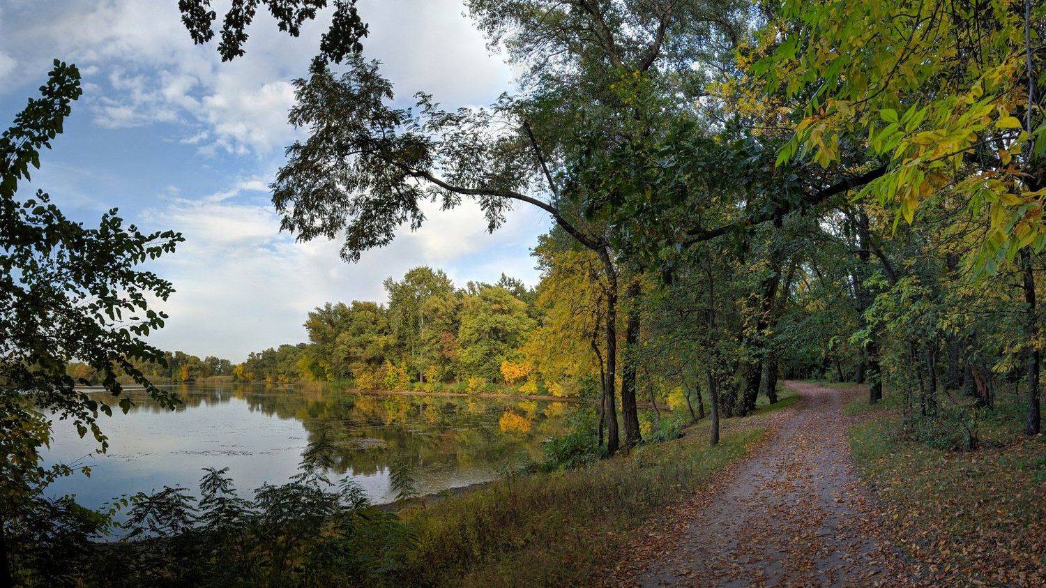 пейзаж,осень,дорога,октябрь,landscape,цвет,вода,релакс,тишина,природа,nature,, Сергей Богачёв