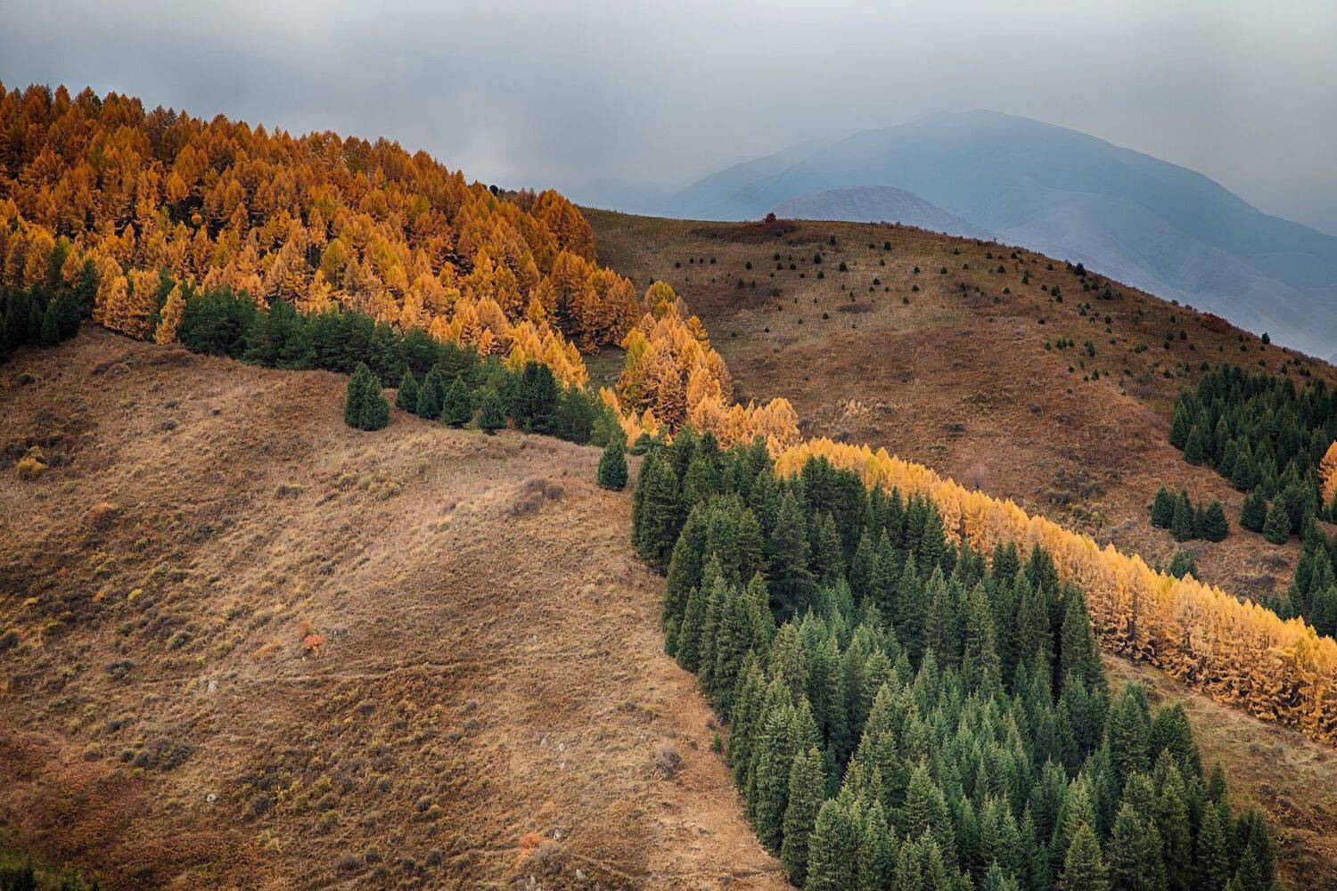 кыргызстан, горы, Элина Магалимова