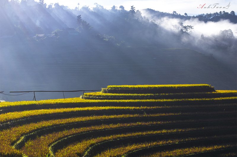 #landscape.#sellingphoto.#mucangchai Mu cang chai фото превью