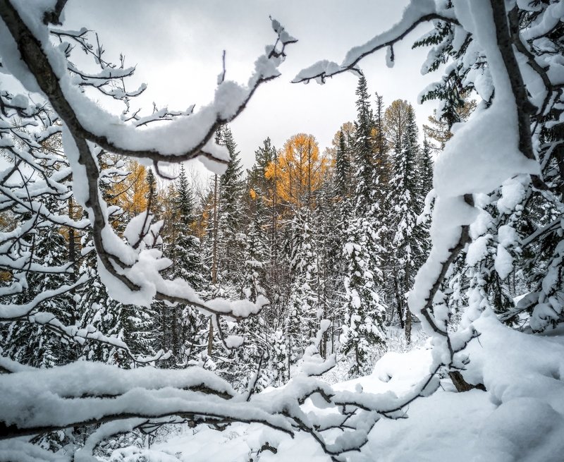 Окно в зимнюю сказку фото превью