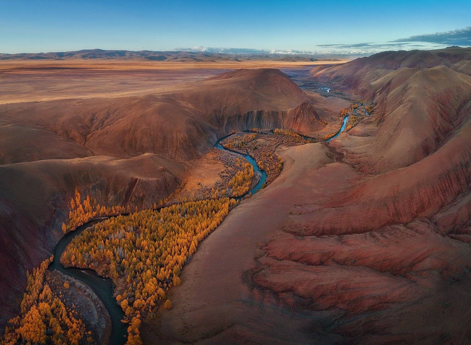 , Андрей Родионов
