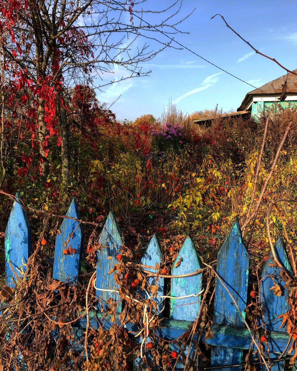 , Анатолий Чигин