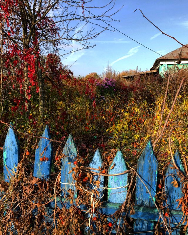 *** фото превью