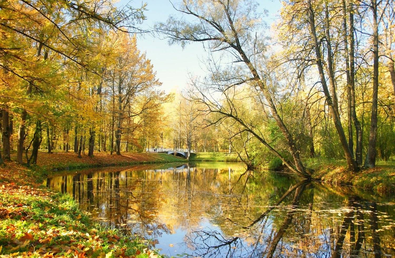 , Сергей Андреевич