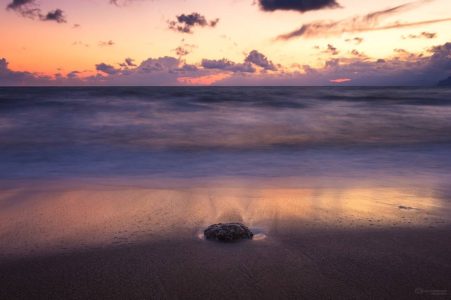 , Антон Кошетаров