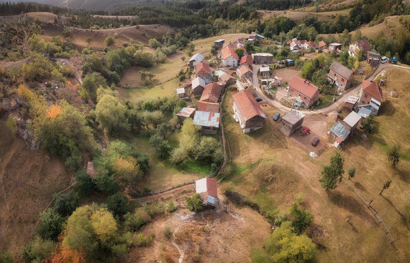 Colorful фото превью