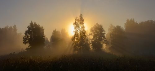 Рассветало утро солнцем золотым